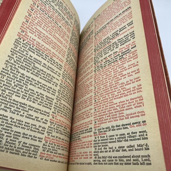 Holy Bible Dictionary Red Letter Edition Jesus King James Version KJV World - Picture 14 of 16